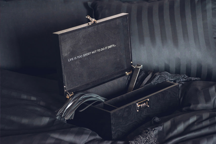 Discreet Sex Toy Storage Boxes - Toy Box for Adults with Combination Lock OpenMityRomance Discreet Sex Toy Storage Boxes - Toy Box for Adults with Combination Lock OpenMityRomance