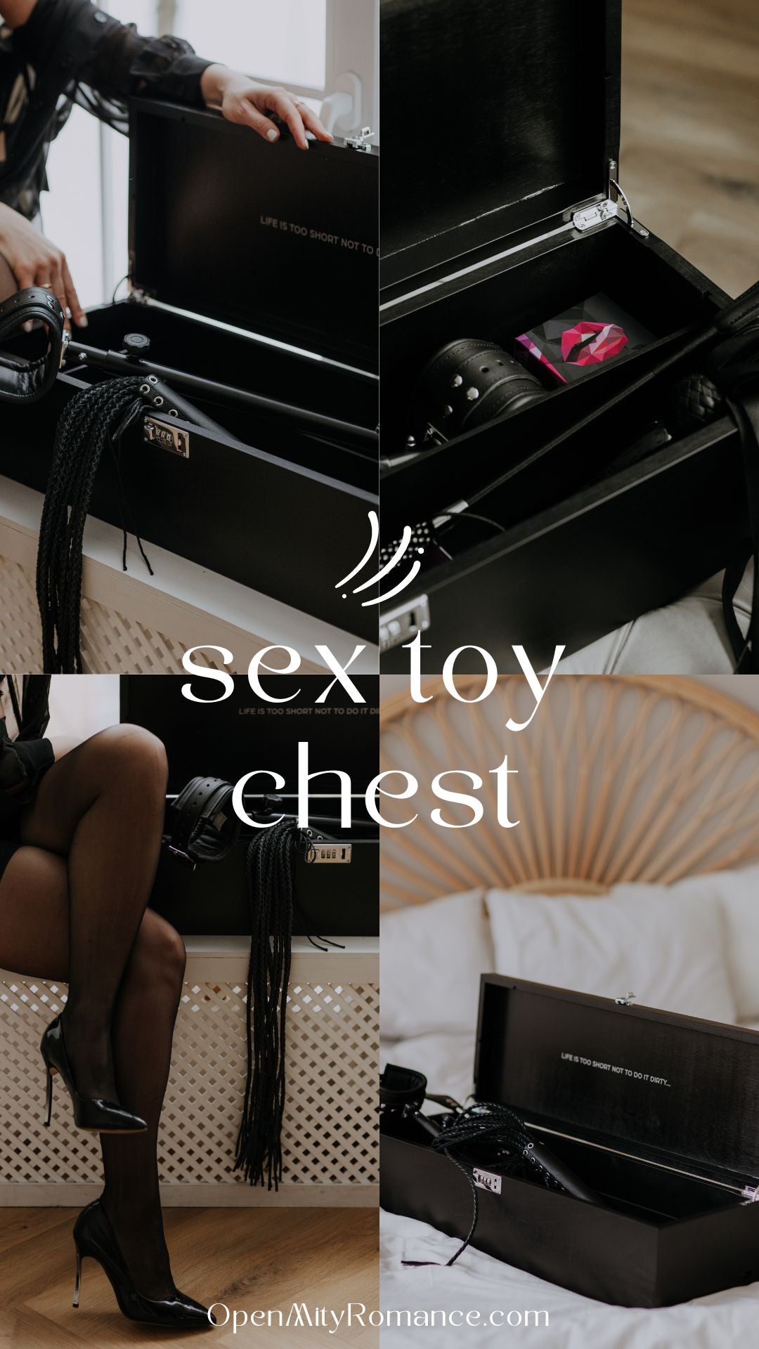 Adult sex toy chest